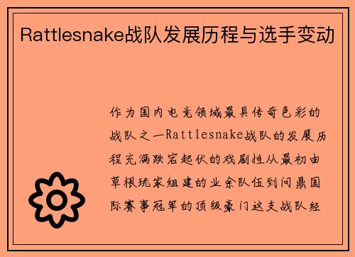 Rattlesnake战队发展历程与选手变动